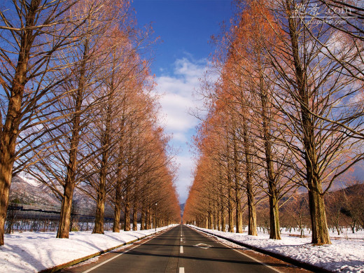 45594 (a): :1600x1200